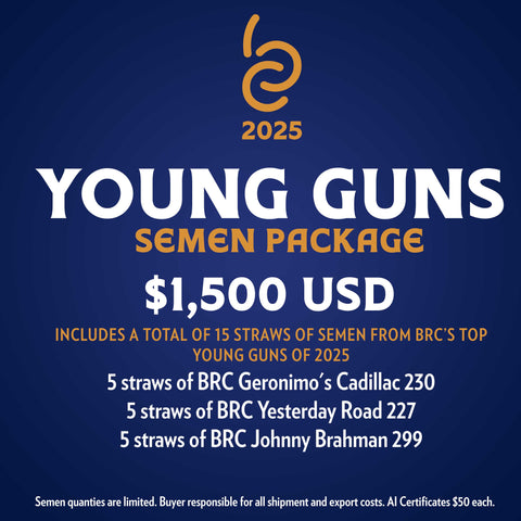 BRC 2025 Young Guns Package